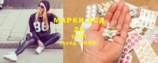 дмт Краснослободск