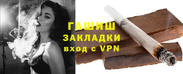 индика Костерёво