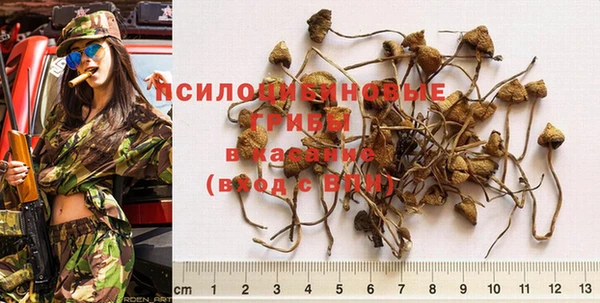 индика Костерёво