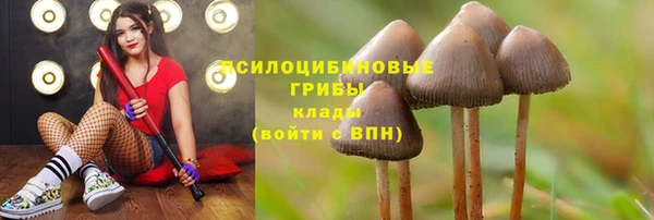первитин Краснотурьинск
