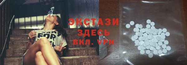 дмт Краснослободск
