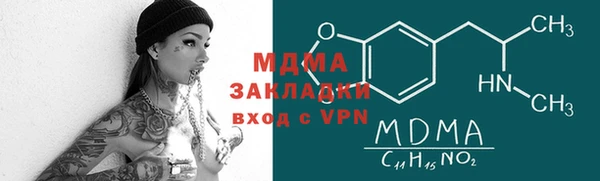 индика Костерёво