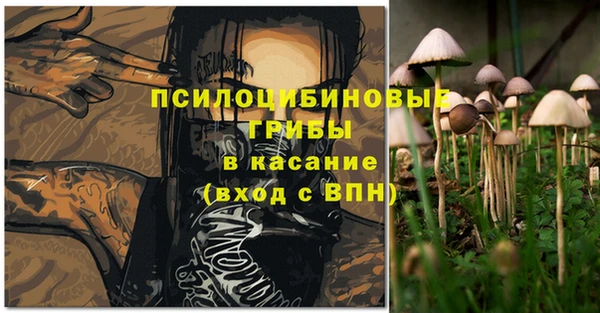дмт Краснослободск
