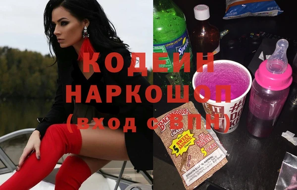 индика Костерёво