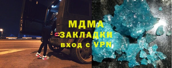 индика Костерёво