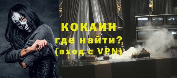 дмт Краснослободск