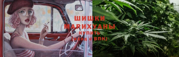 дмт Краснослободск