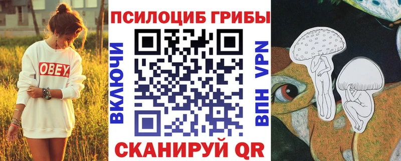Галлюциногенные грибы мицелий  Купить где  Жирновск 